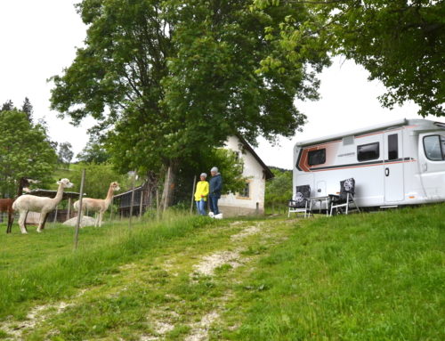 Camping-Urlaub am Biohof machen